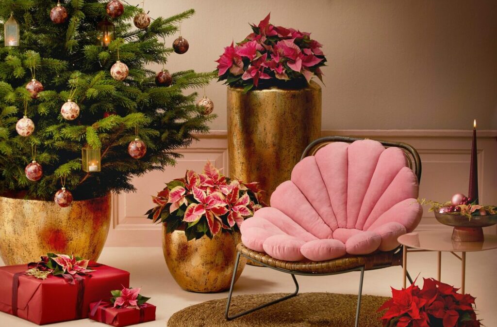 calendrier de l’avent la boutique du coiffeur